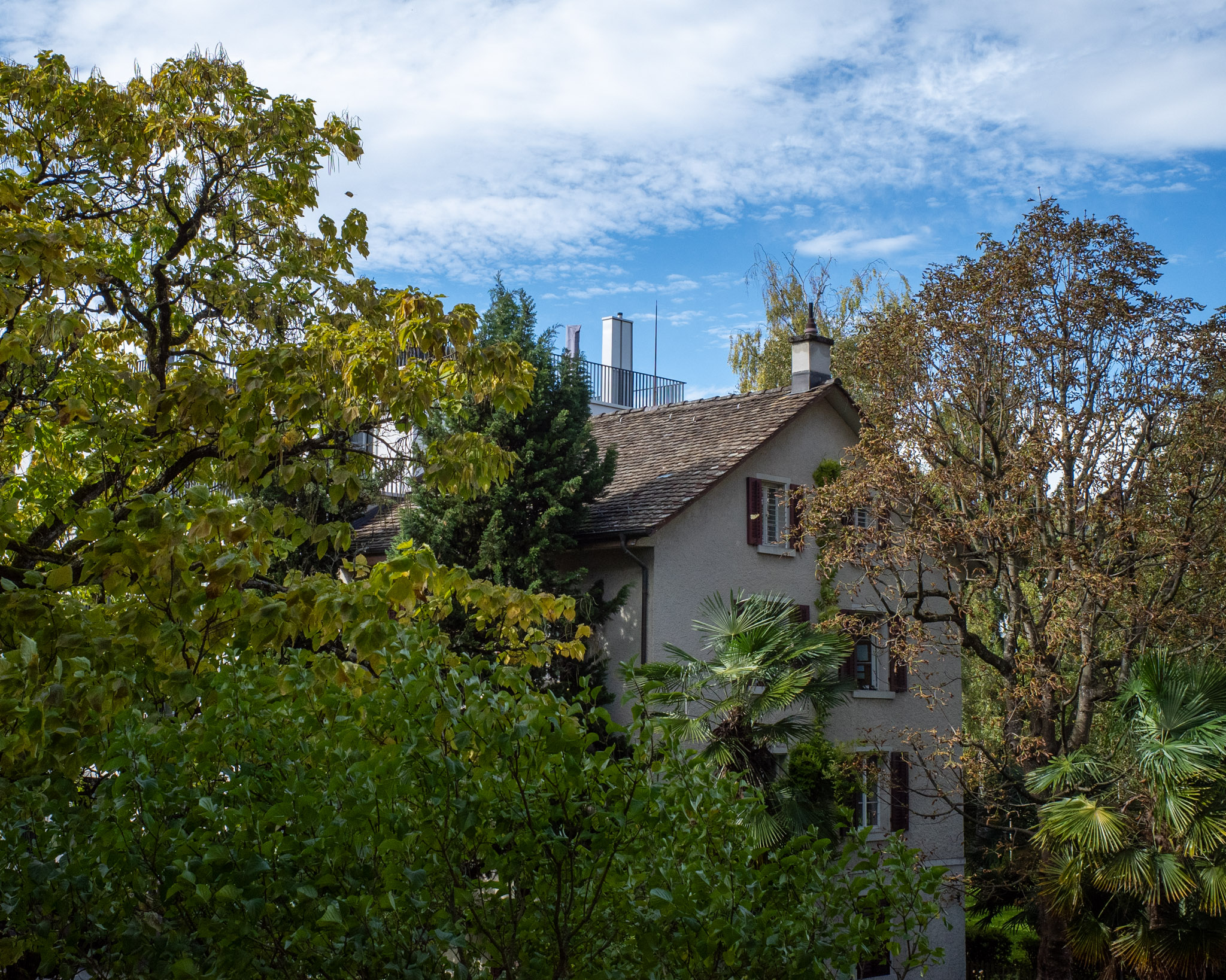 Nov 2025: Zurich thumbnail 3