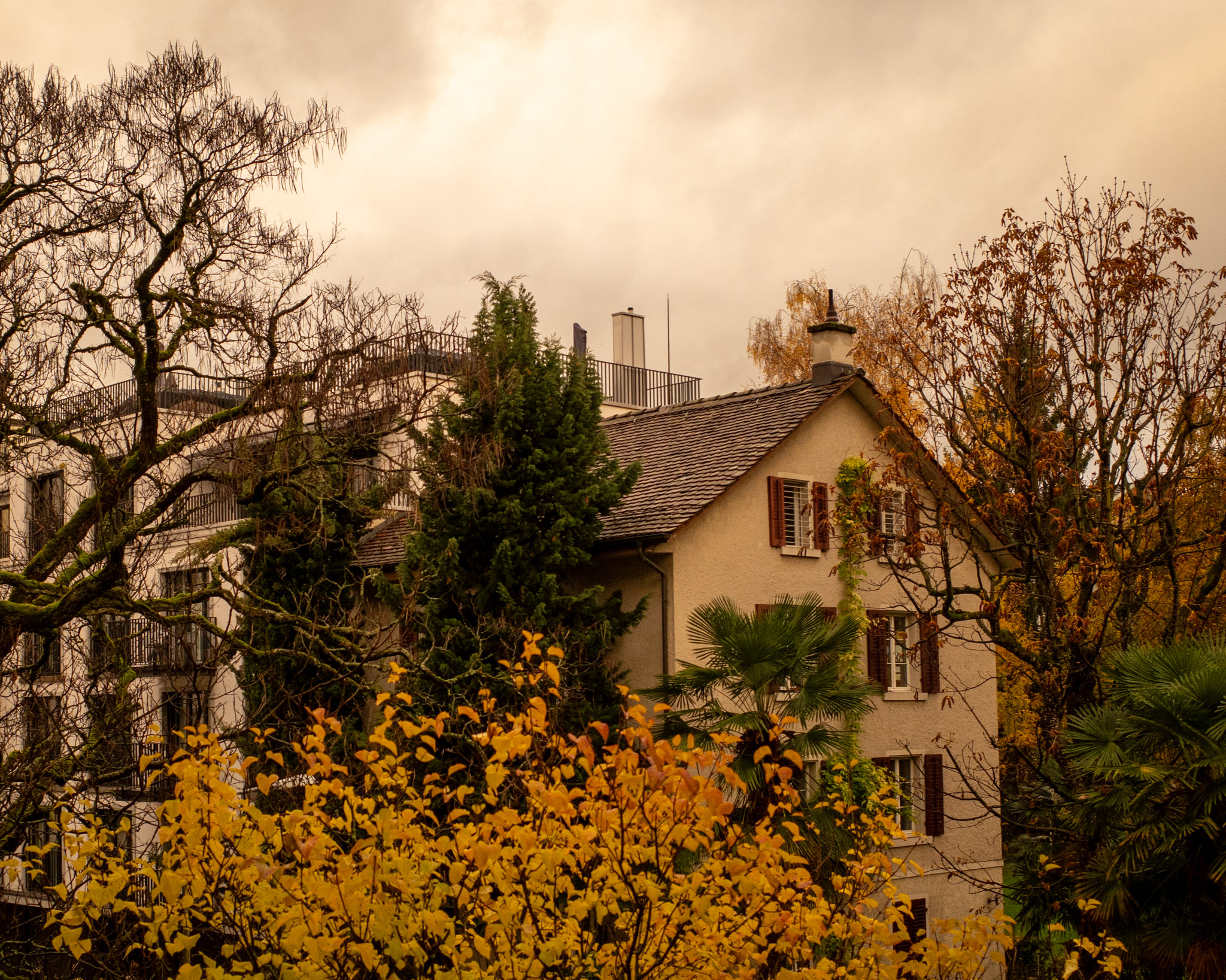 Nov 2025: Zurich thumbnail 4