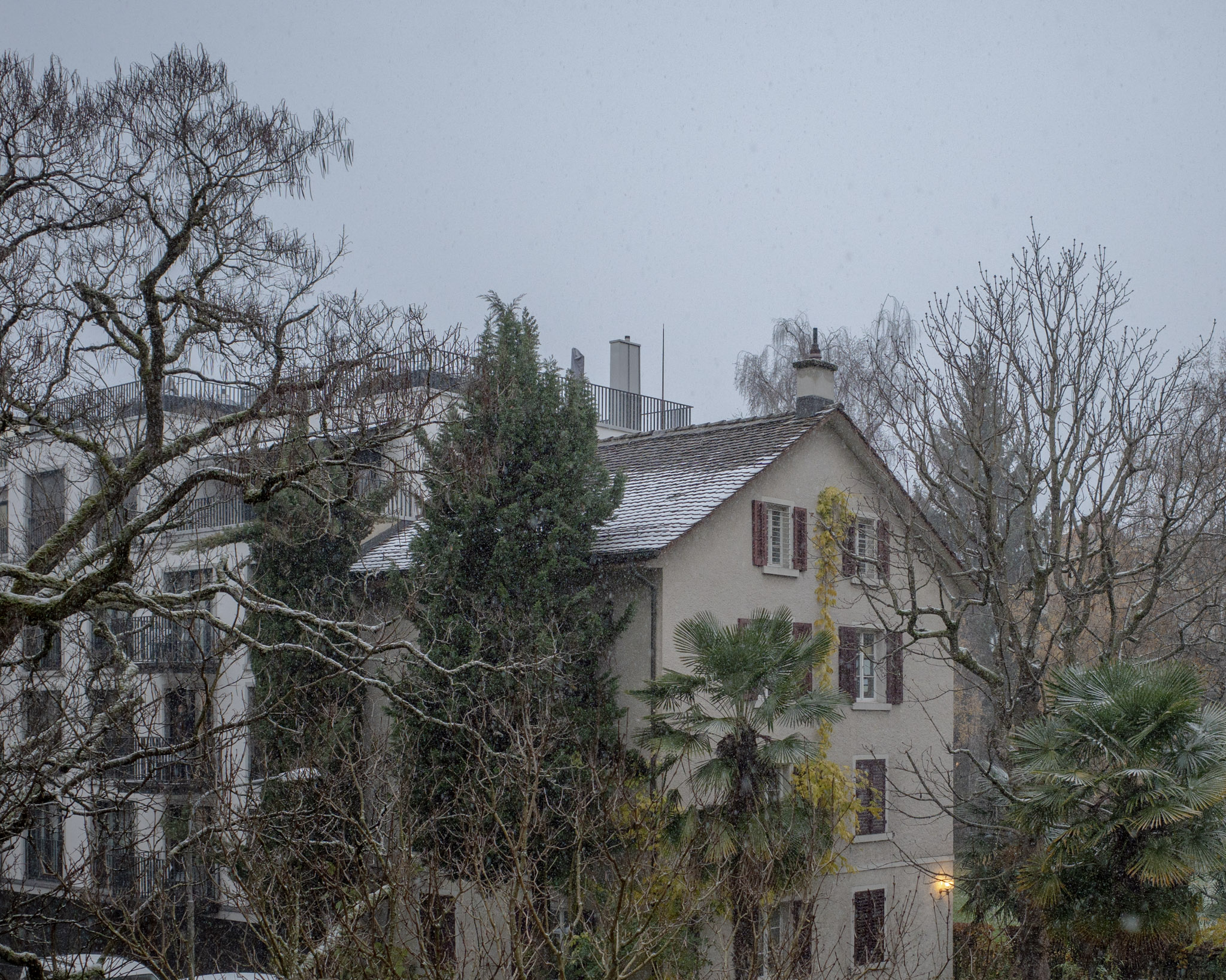 Nov 2025: Zurich thumbnail 5