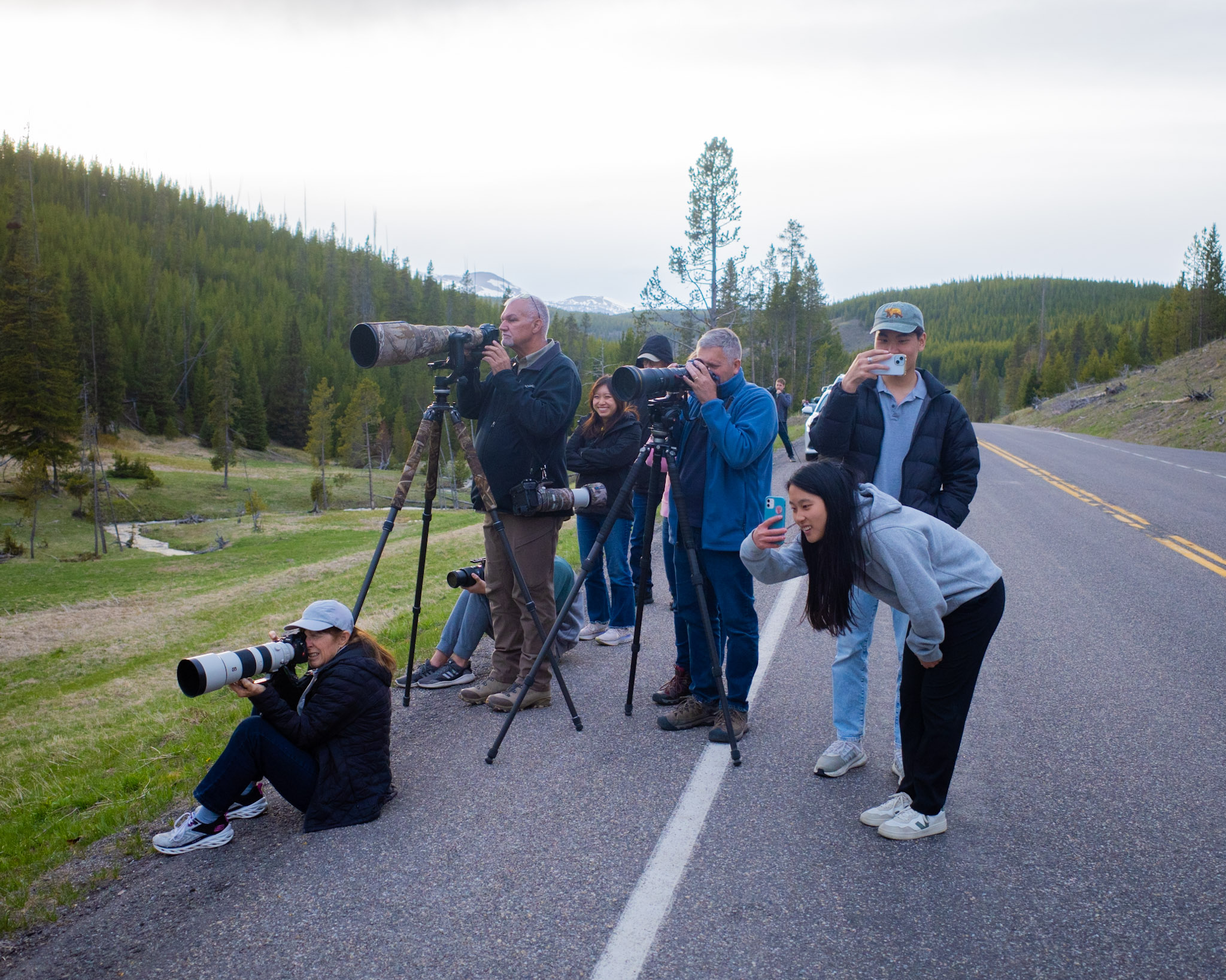 yellowstone image2