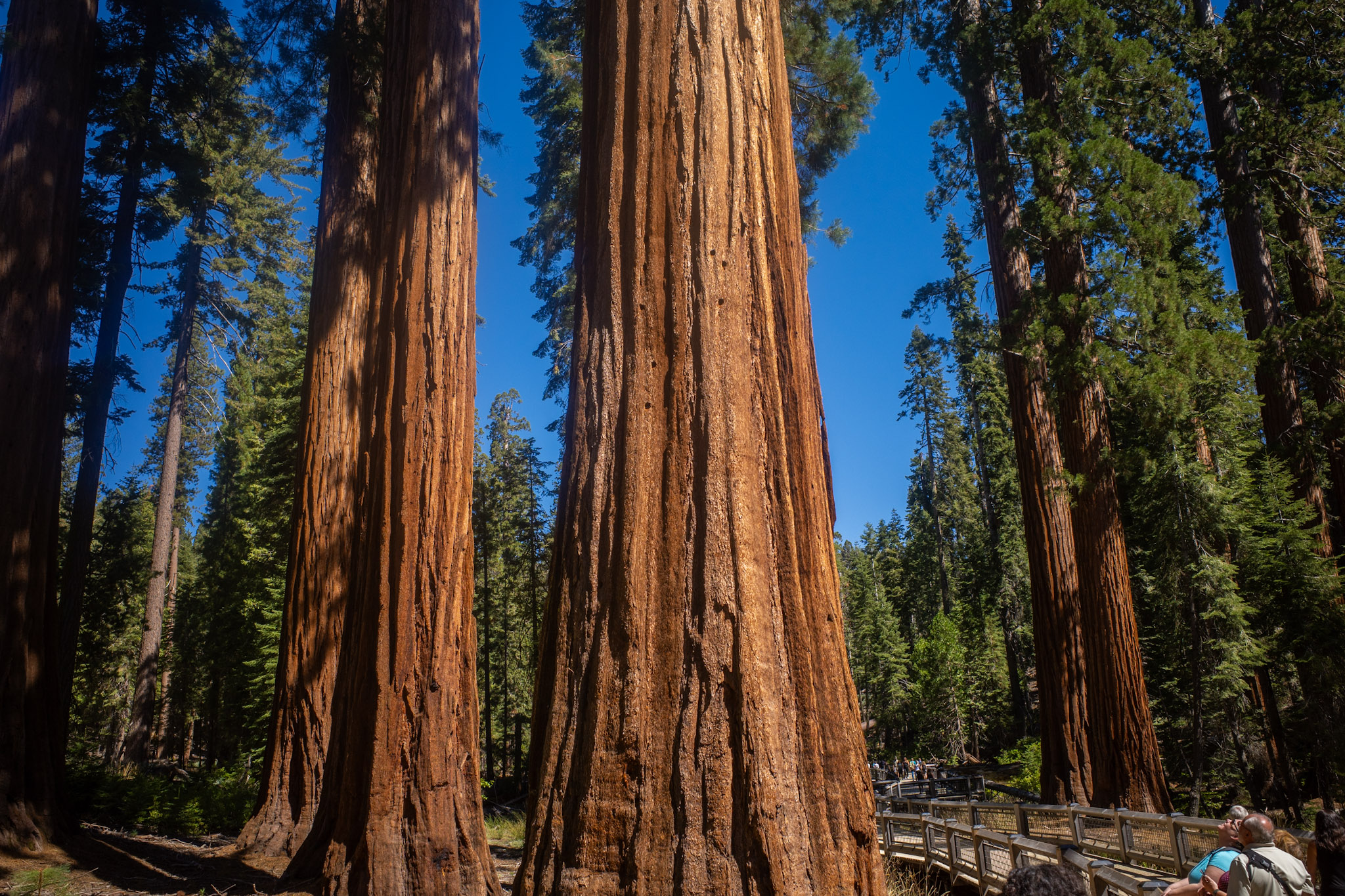 yosemite image3